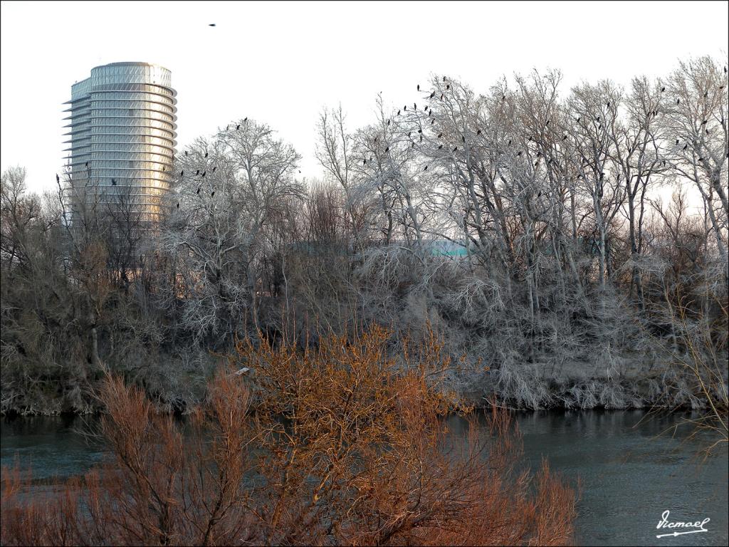 Foto de Zaragoza (Aragón), España