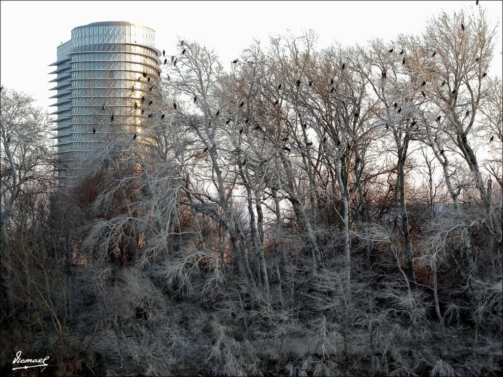 Foto de Zaragoza (Aragón), España