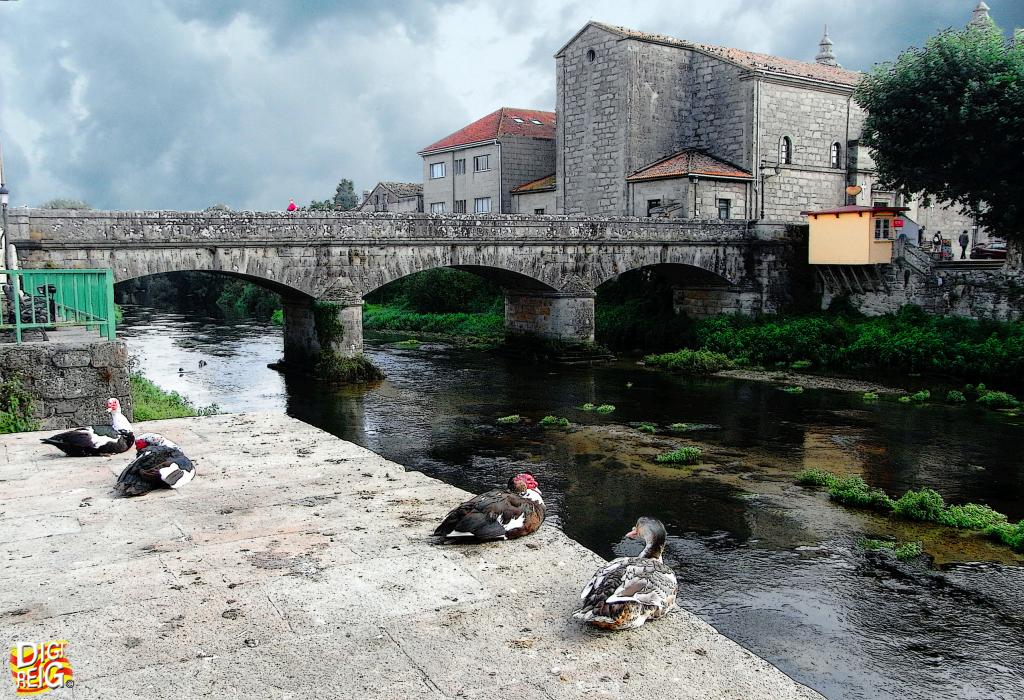 Foto de Padrón (A Coruña), España