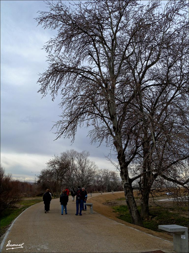 Foto de Zaragoza (Aragón), España