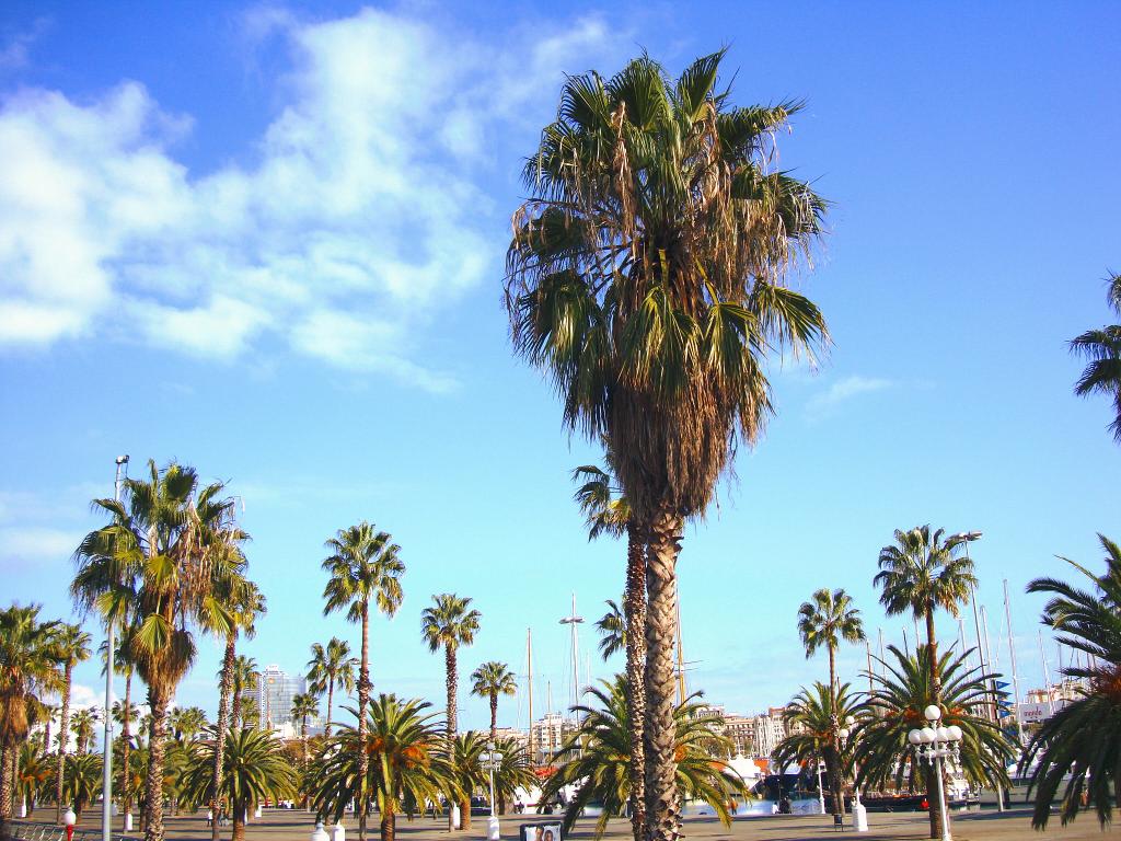 Foto de Barcelona (Cataluña), España