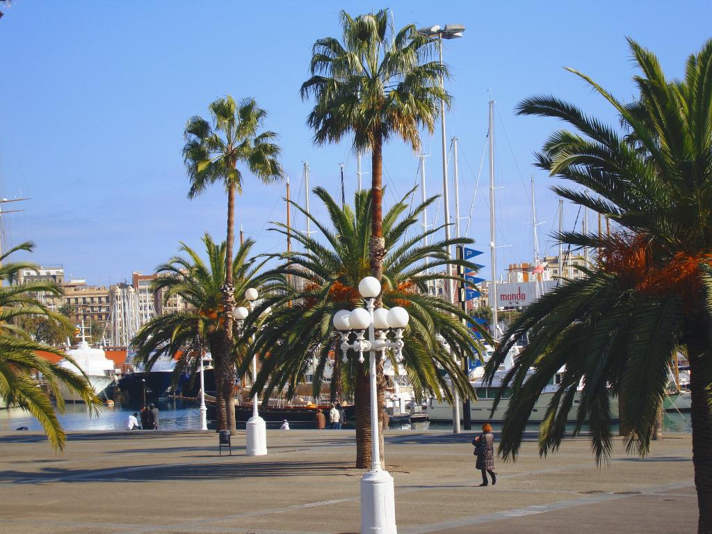 Foto de Barcelona (Cataluña), España