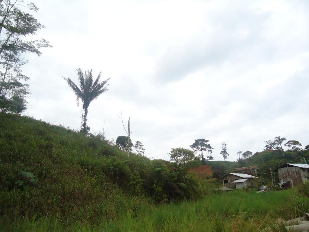 Foto de Simon Bolivar (Mushullacta), Ecuador