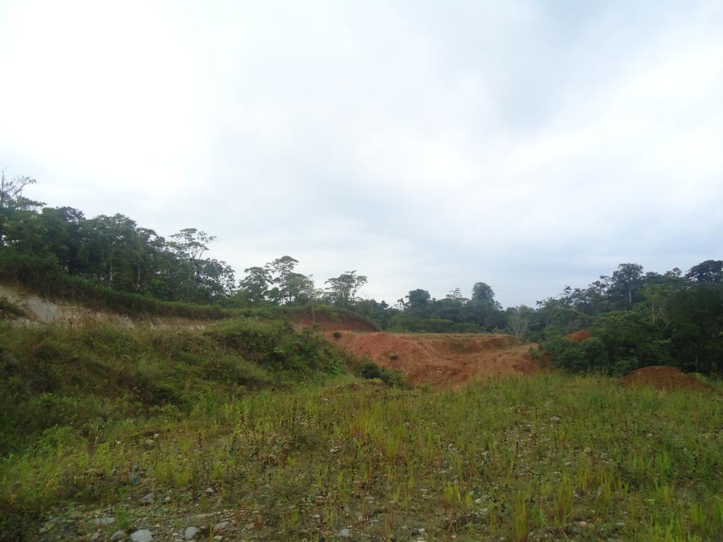 Foto de Puyo, Ecuador