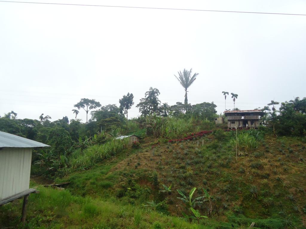 Foto de Puyo, Ecuador