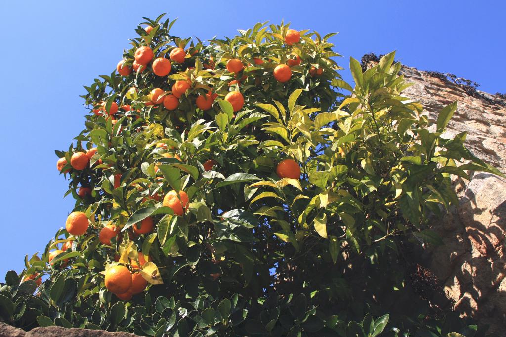 Foto de Madremanya (Girona), España