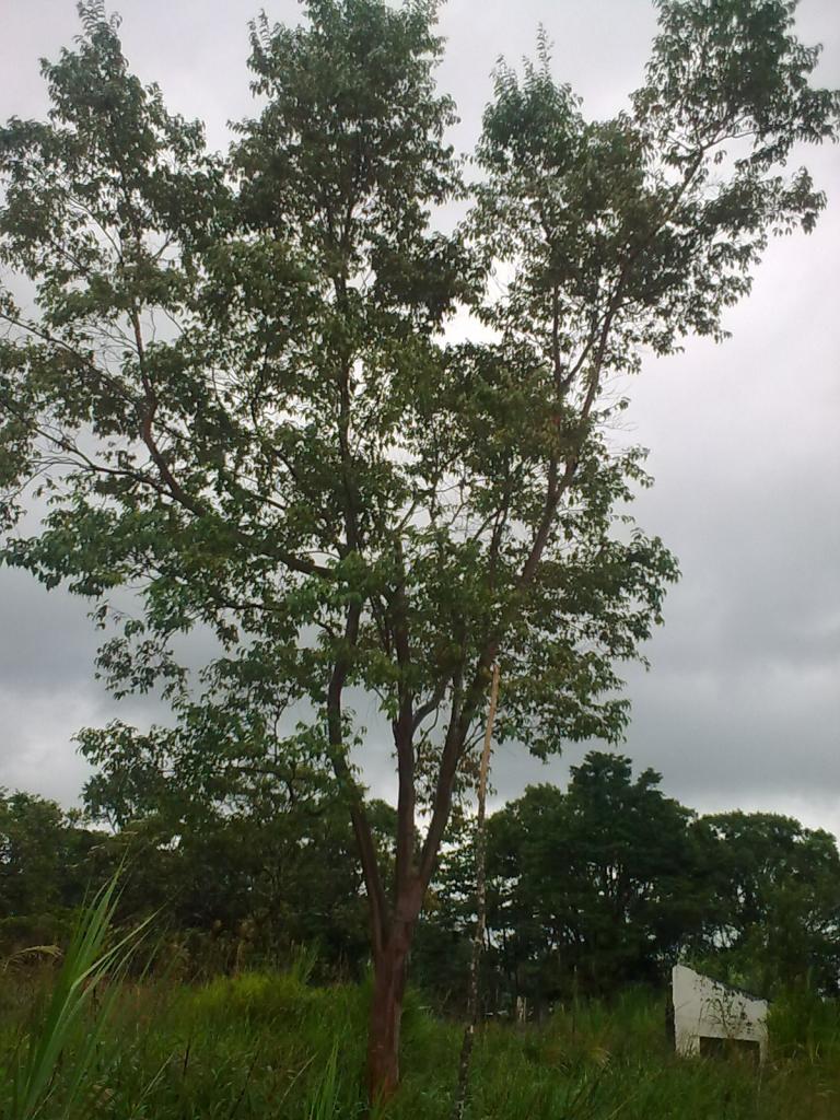 Foto de Mera, Ecuador