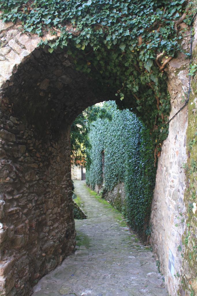 Foto de Sant Martí Vell (Girona), España