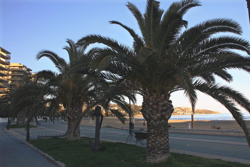 Foto de Benicassim (Castelló), España