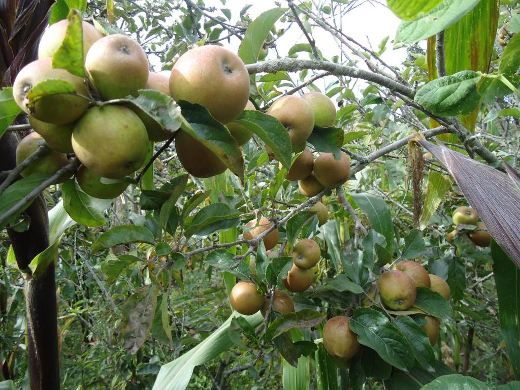 Foto de Bayushig, Ecuador