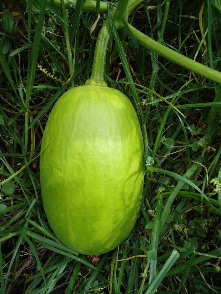 Foto de Bayushig, Ecuador