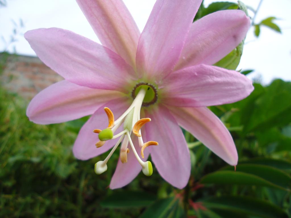 Foto de Bayushig, Ecuador