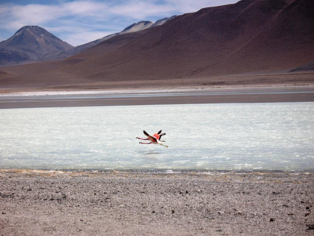 Foto de Sud Lípez, Bolivia