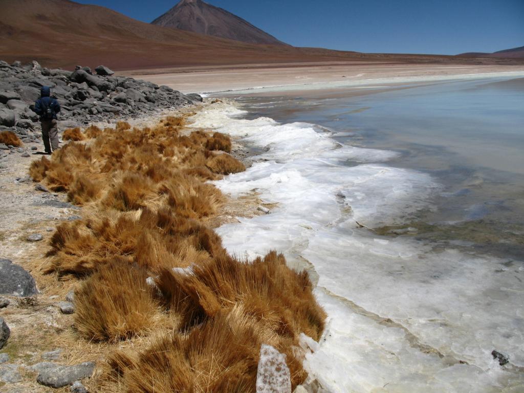 Foto de Sud Lípez, Bolivia