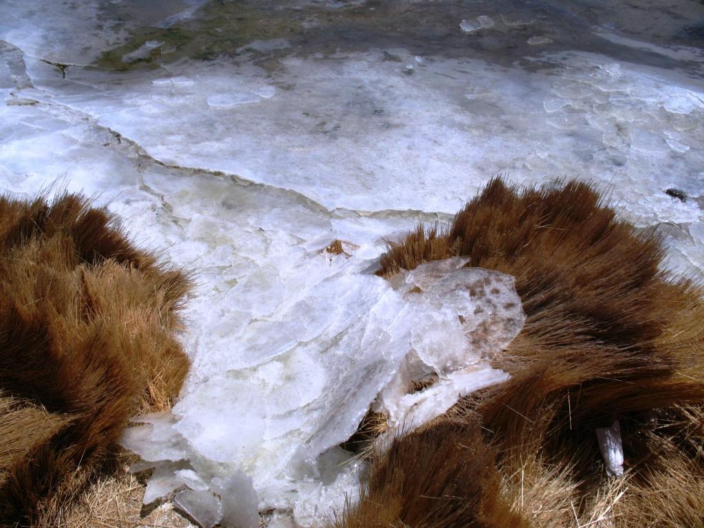 Foto de Sud Lípez, Bolivia