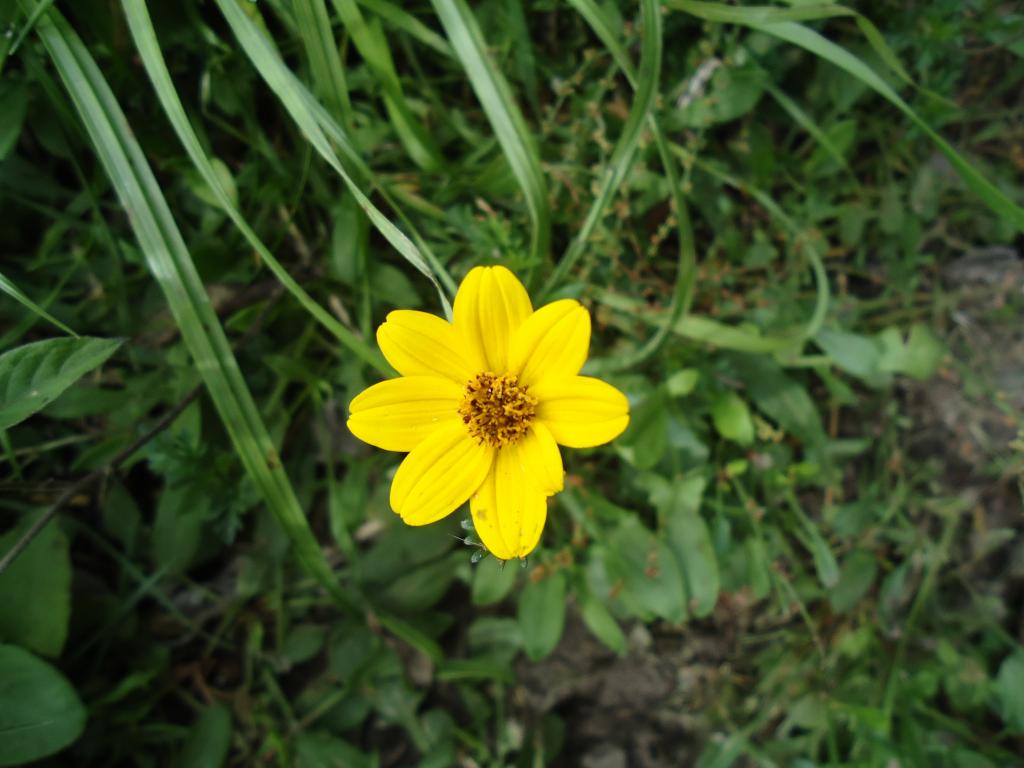 Foto de Bayushig, Ecuador