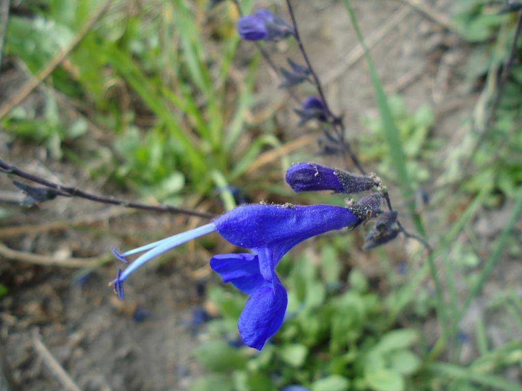 Foto de Bayushig, Ecuador