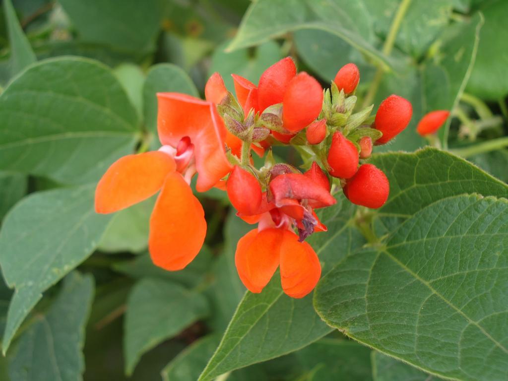 Foto de Bayushig, Ecuador