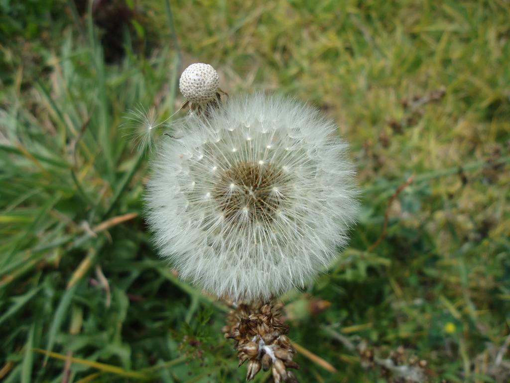 Foto de Bayushig, Ecuador