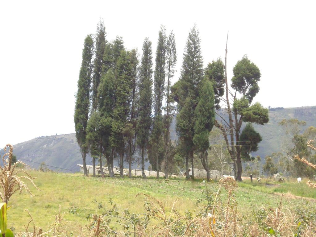 Foto de Bayushig, Ecuador