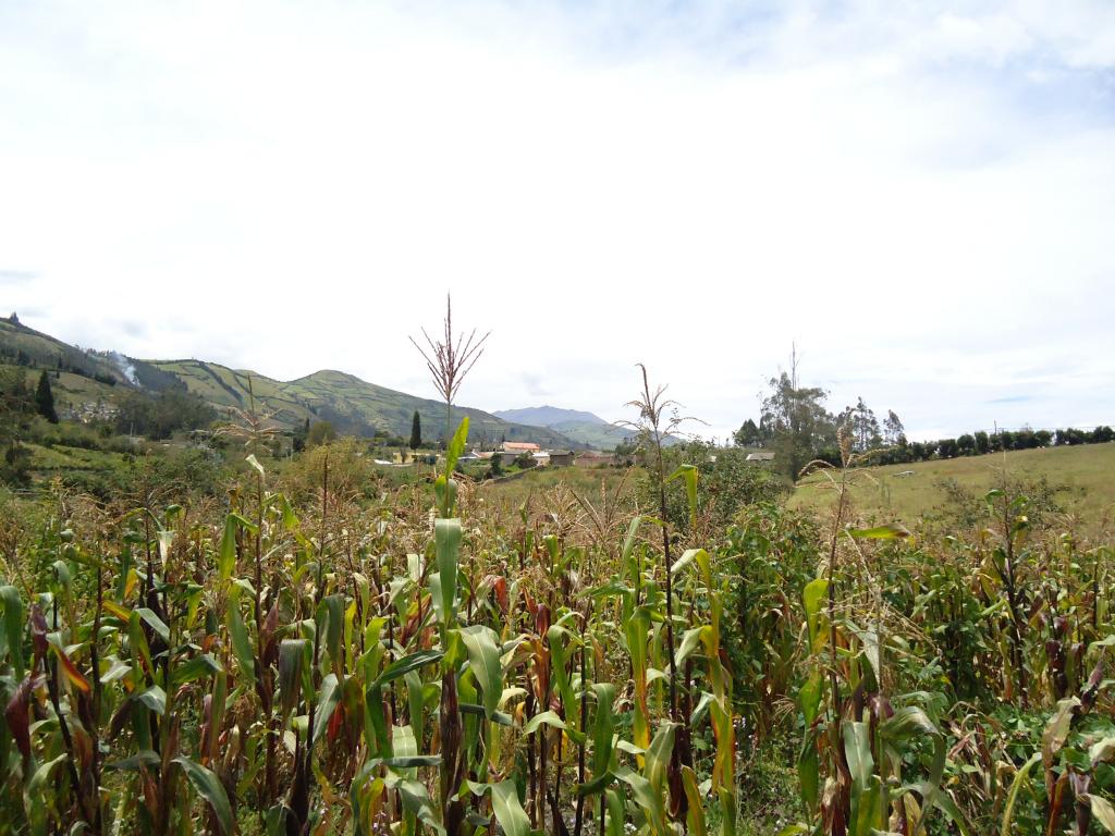 Foto de Bayushig, Ecuador