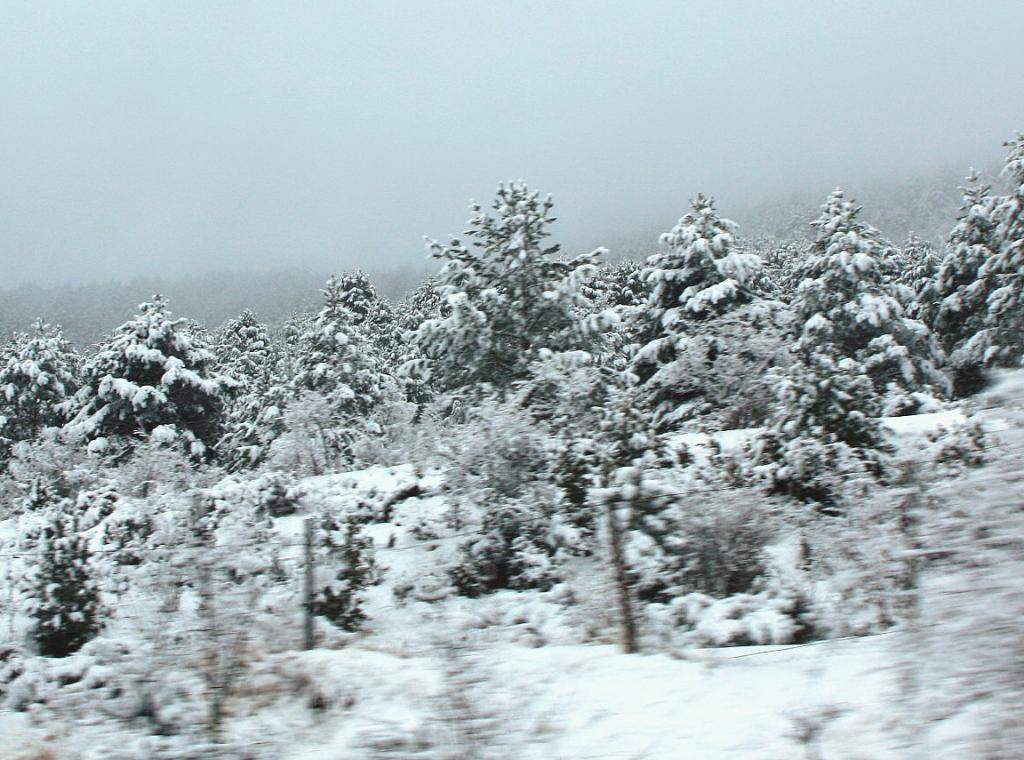 Foto de Sant Miquel de la Pobla (Castelló), España