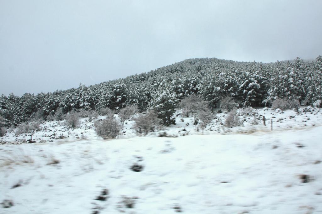 Foto de Sant Miquel de la Pobla (Castelló), España