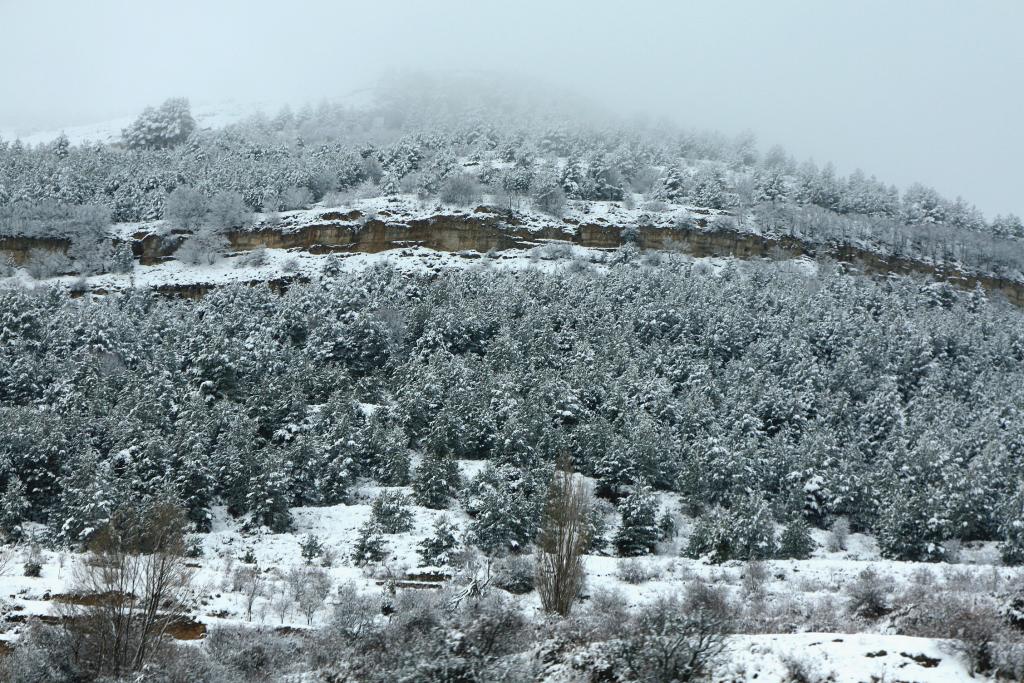 Foto de Sant Miquel de la Pobla (Castelló), España