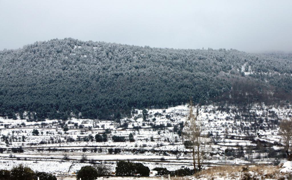 Foto de Sant Miquel de la Pobla (Castelló), España