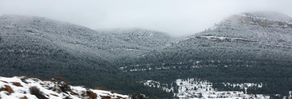 Foto de Sant Miquel de la Pobla (Castelló), España