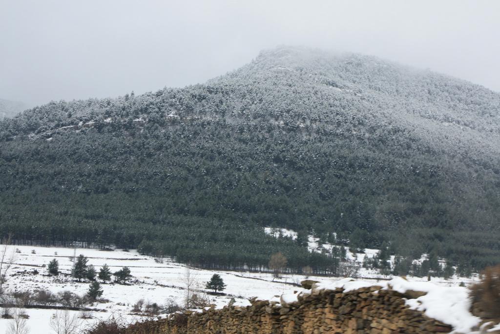 Foto de Sant Miquel de la Pobla (Castelló), España