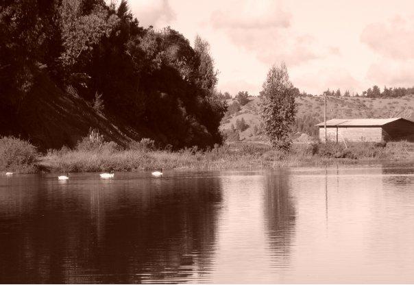 Foto: Laguna de Cahuil - Cahuil (Libertador General Bernardo OʼHiggins), Chile