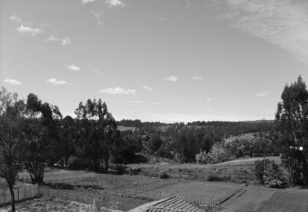 Foto: Mirada desde la Copa de Agua - Ciruelos, Comuna Pichilemu (Libertador General Bernardo OʼHiggins), Chile