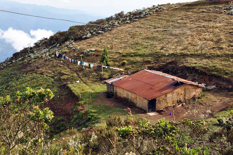 Foto de Niquitao (Trujillo), Venezuela