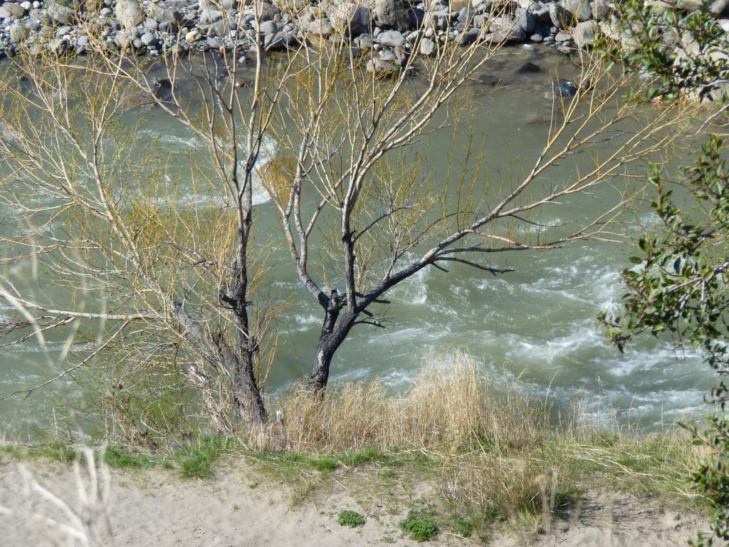 Foto de Epuyen (Chubut), Argentina