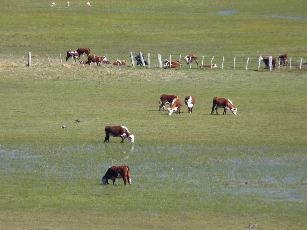 Foto de Epuyen (Chubut), Argentina