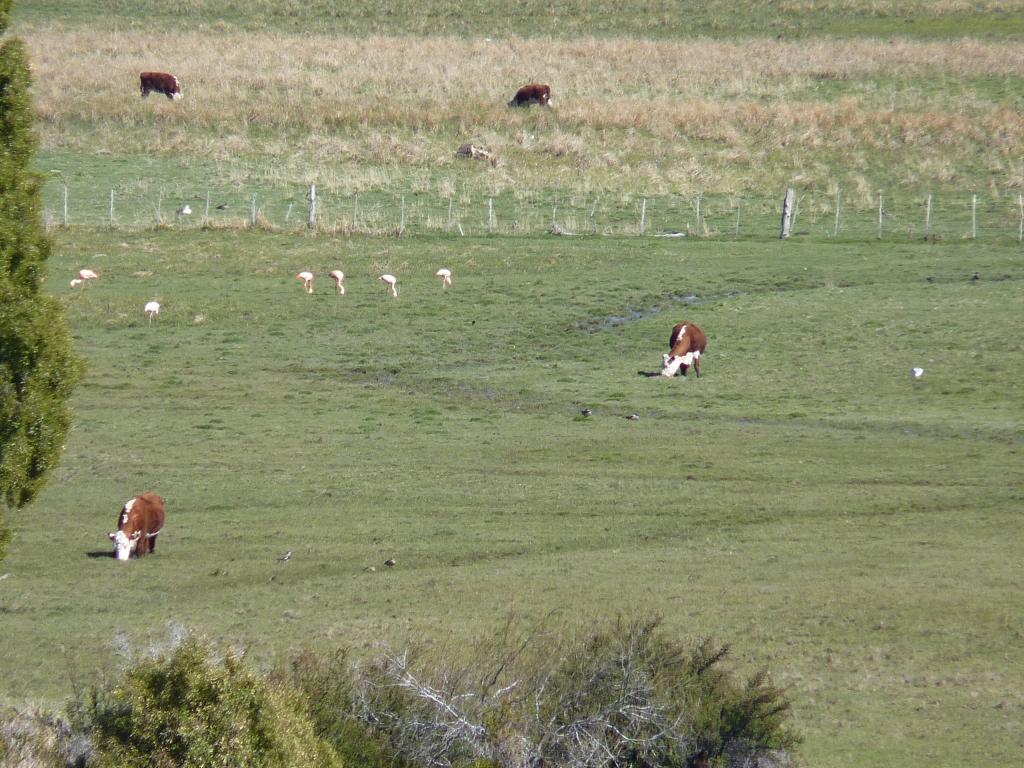 Foto de Epuyen (Chubut), Argentina