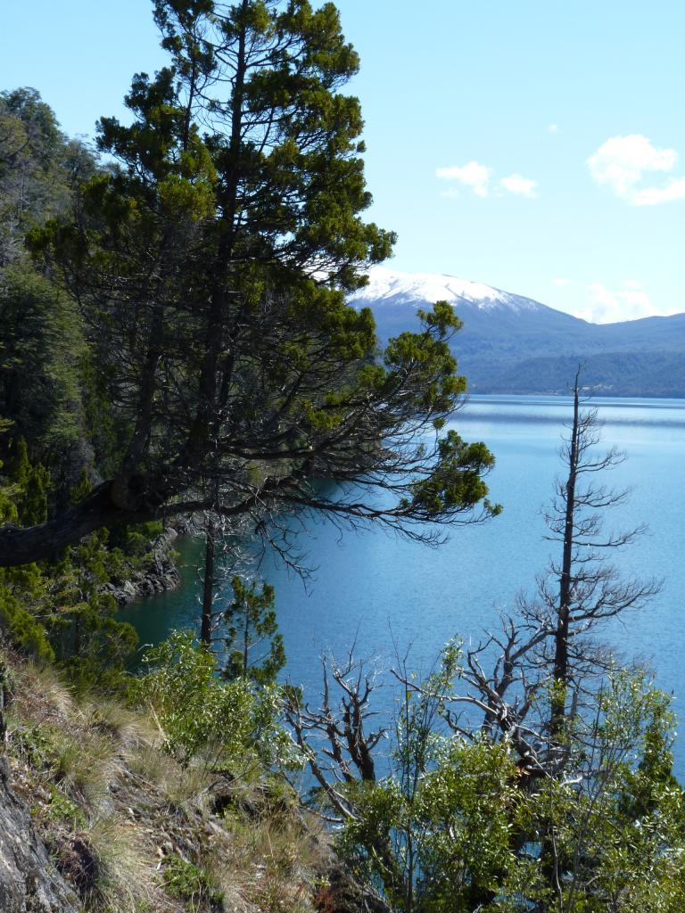 Foto de Epuyen (Chubut), Argentina