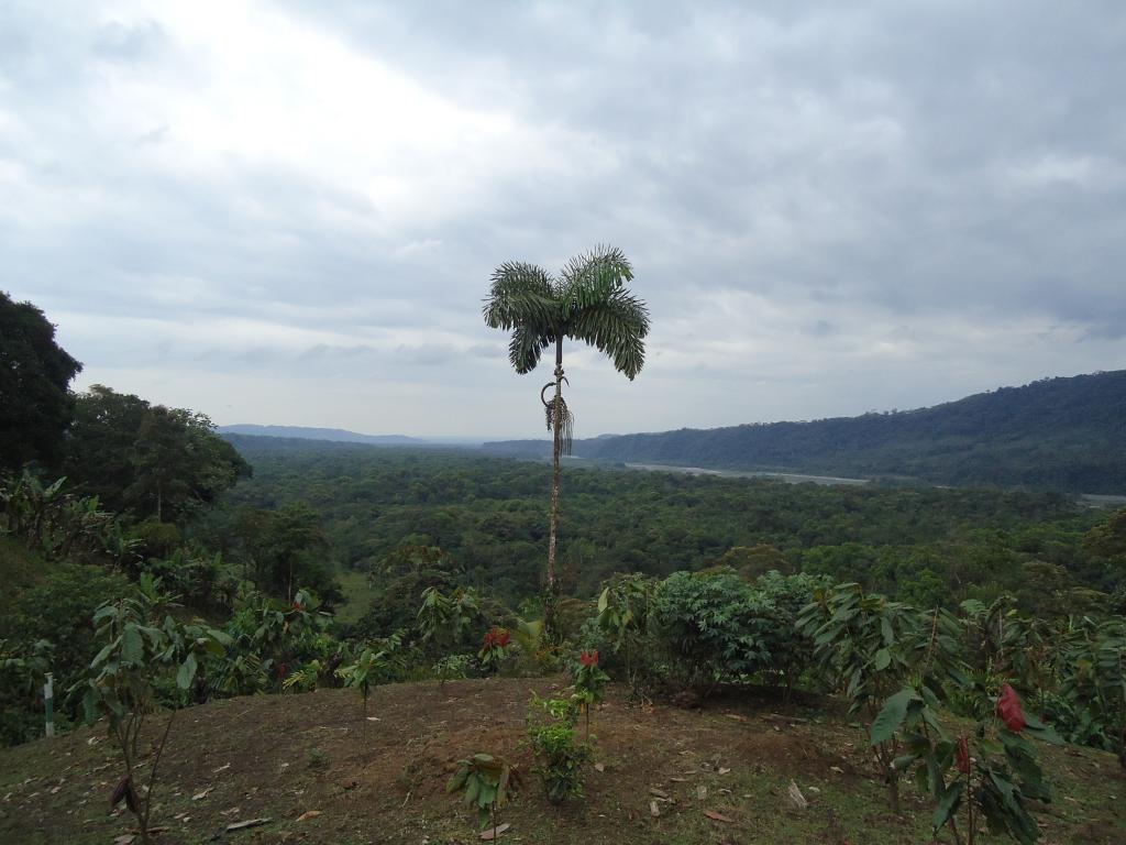 Foto de Moravia, Ecuador