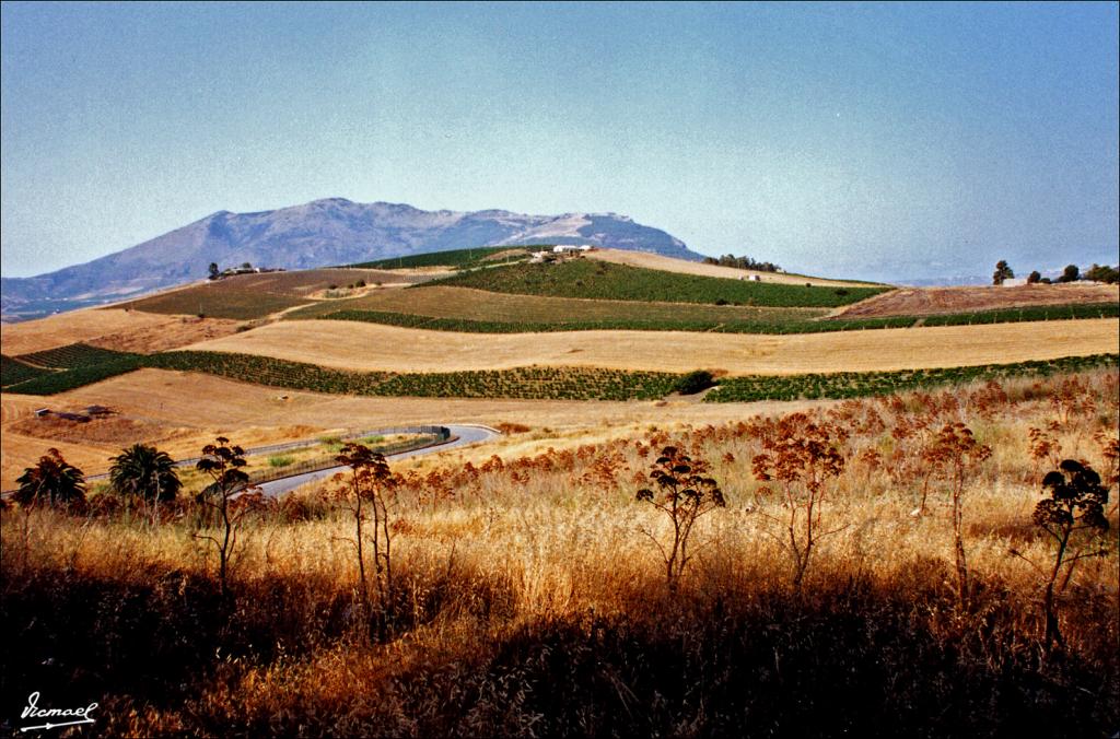 Foto de Segesta (Sicilia), Italia