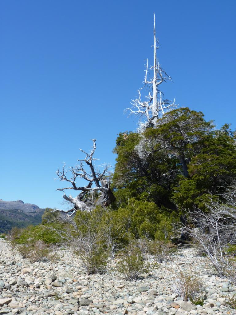 Foto de Epuyen (Chubut), Argentina