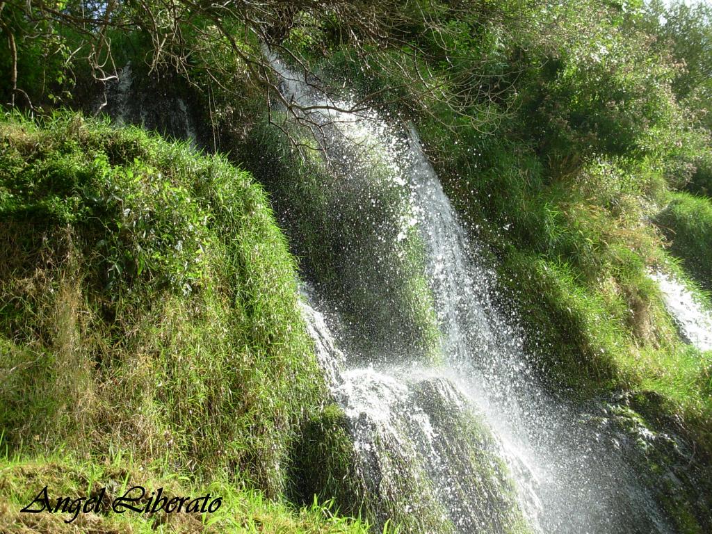 Foto: Monasterio De Piedra - Nuévalos (Zaragoza), España