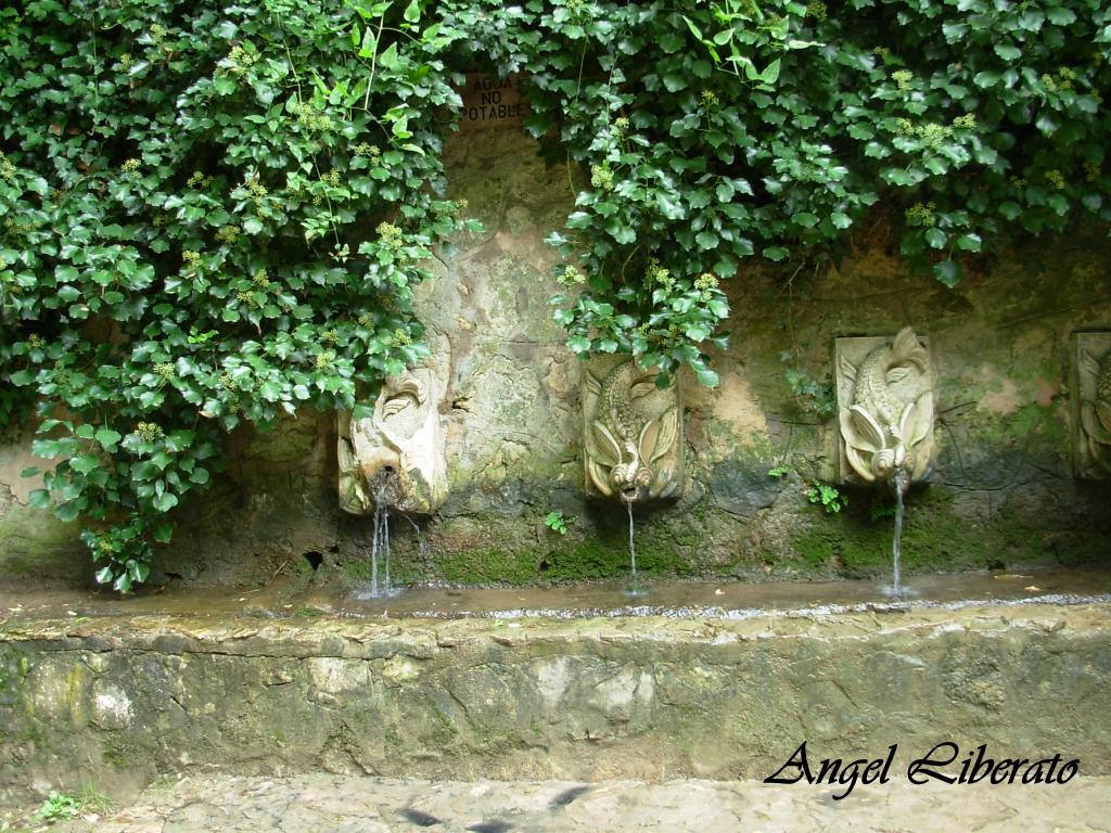 Foto: Monasterio De Piedra - Nuevalos (Zaragoza), España