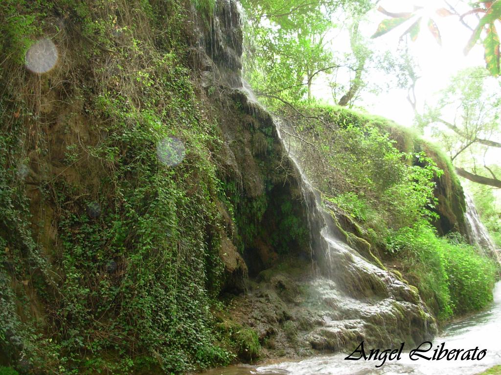 Foto: Monasterio De Piedra - Nuevalos (Zaragoza), España