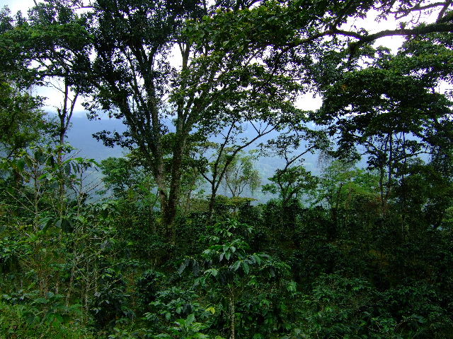 Foto de Guayabital (Portuguesa), Venezuela