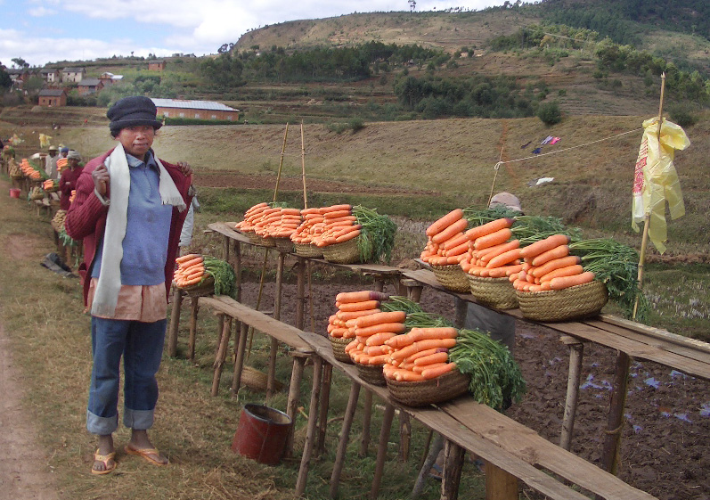 Foto: puesto en carretera - Antisarabé, Madagascar