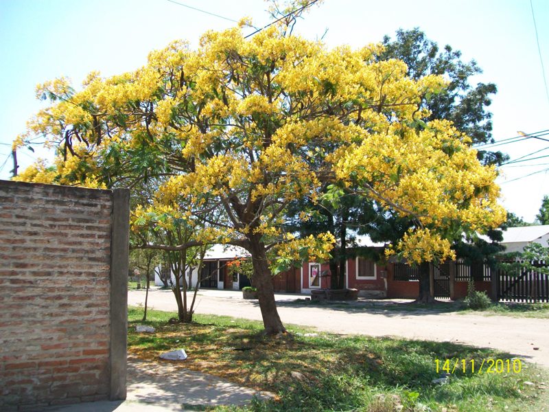 Foto: Pirané Formosa Argentina - Pirané (Formosa), Argentina