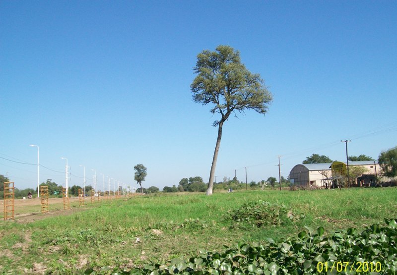 Foto: Pirané Formosa, Argentina - Pirané (Formosa), Argentina