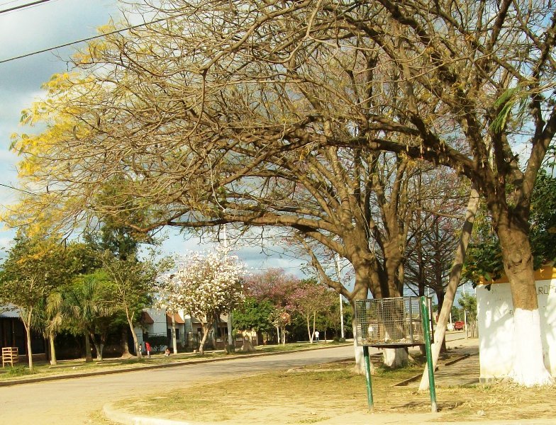 Foto: Pirané Formosa, Argentina - Pirané (Formosa), Argentina