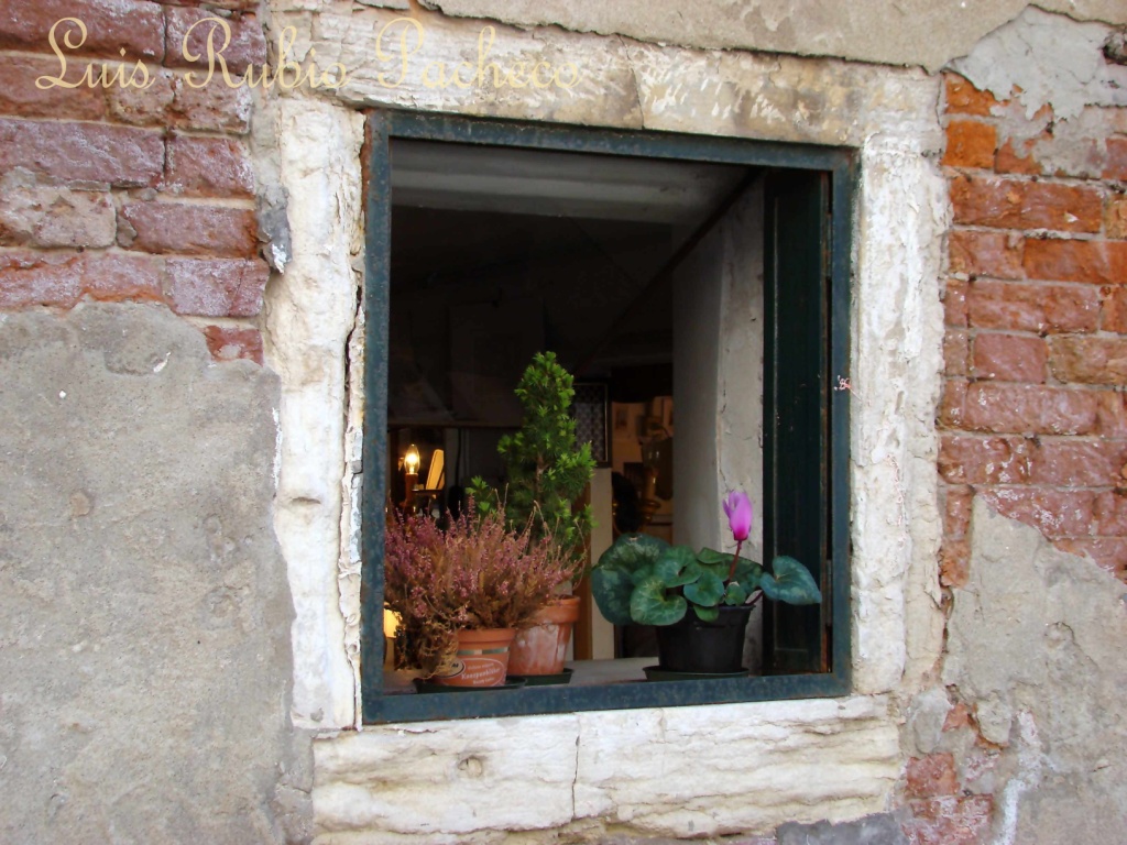 Foto de Venecia, Italia